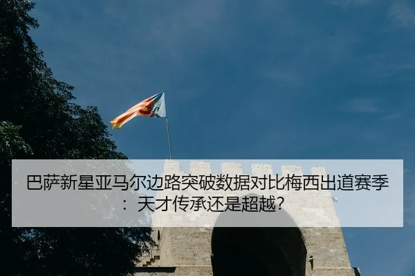 ba-sa-xin-xing-ya-ma-er-bian-lu-tu-po-shu-ju-dui-bi-mei-xi-chu-dao-sai-ji-tian-cai-chuan-cheng-hai-shi-chao-yue-3-671.jpg