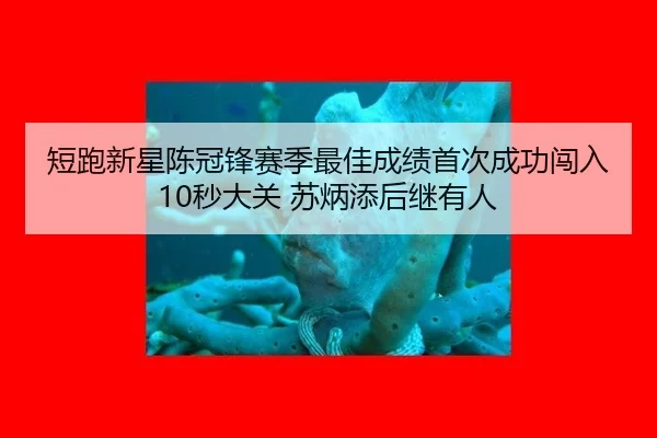 短跑新星陈冠锋赛季最佳成绩首次成功闯入10秒大关 苏炳添后继有人