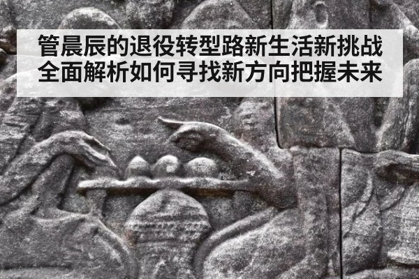 管晨辰的退役转型路新生活新挑战全面解析如何寻找新方向把握未来